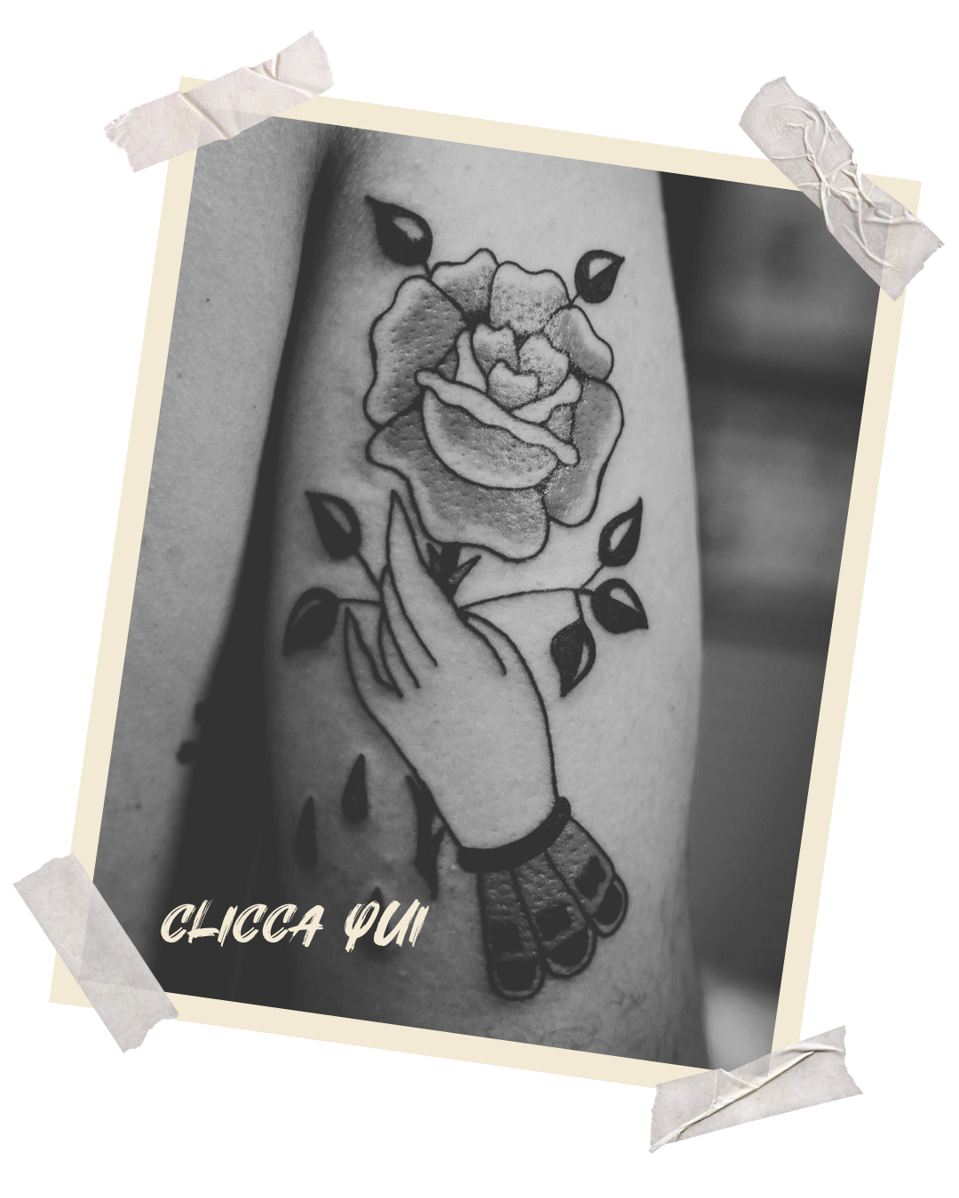 Rosa tradizionale by Vic Bottini